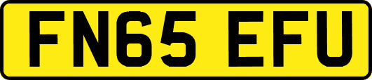 FN65EFU