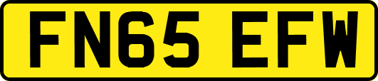 FN65EFW