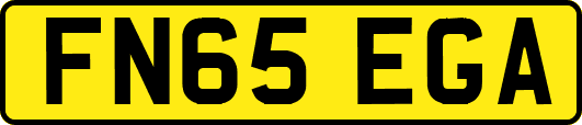 FN65EGA
