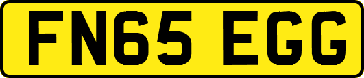 FN65EGG
