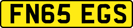 FN65EGS