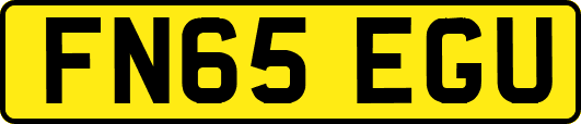 FN65EGU