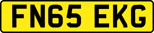 FN65EKG