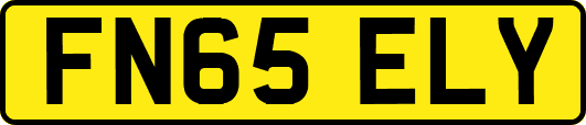 FN65ELY