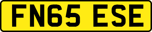 FN65ESE