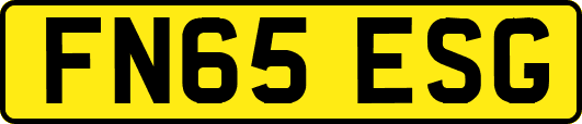 FN65ESG