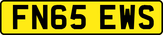 FN65EWS