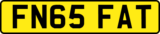 FN65FAT