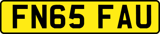 FN65FAU