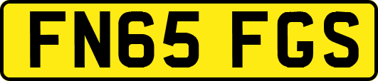 FN65FGS