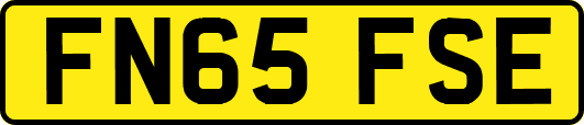 FN65FSE