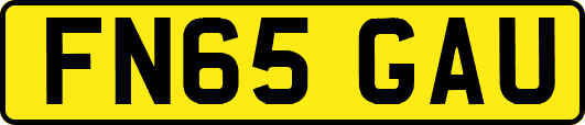 FN65GAU
