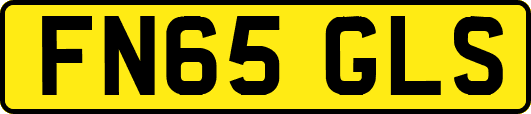 FN65GLS