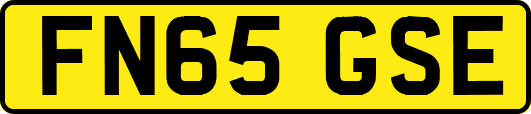 FN65GSE