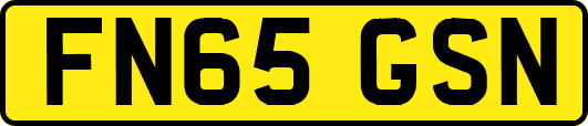 FN65GSN
