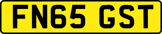FN65GST