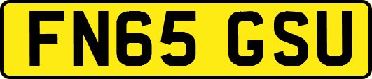 FN65GSU