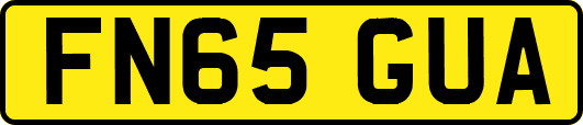FN65GUA