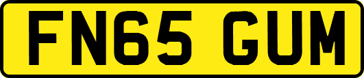 FN65GUM