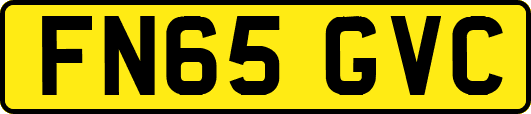 FN65GVC