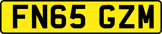 FN65GZM