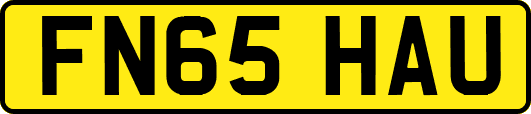 FN65HAU