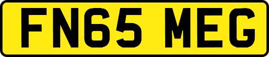 FN65MEG