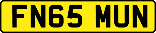 FN65MUN