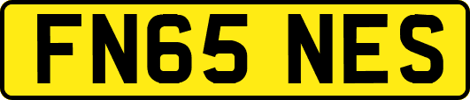 FN65NES