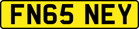 FN65NEY