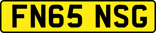 FN65NSG