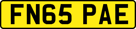FN65PAE