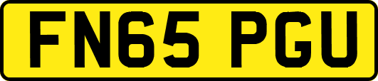 FN65PGU