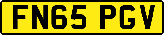FN65PGV