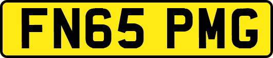 FN65PMG