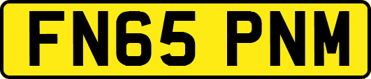 FN65PNM