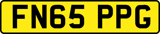 FN65PPG