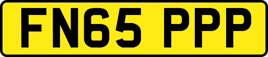 FN65PPP