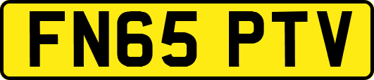 FN65PTV