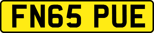 FN65PUE