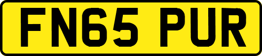 FN65PUR
