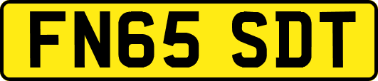 FN65SDT