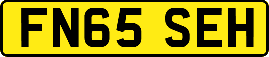FN65SEH