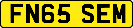 FN65SEM