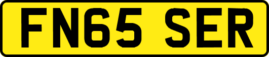 FN65SER
