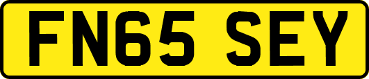 FN65SEY