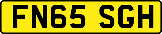 FN65SGH