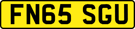FN65SGU