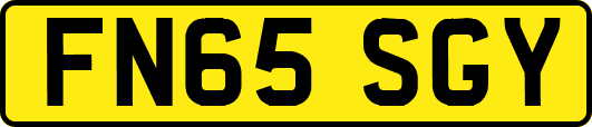 FN65SGY