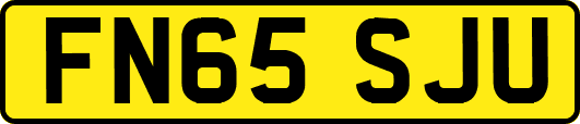 FN65SJU